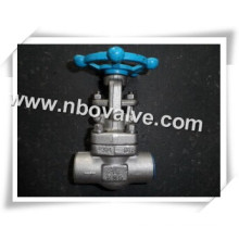 1-1 / 4 &quot;F11 NPT Vapeur forgé Globe Valve (1500lb)